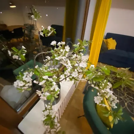 Apartment Panoramablick - Alpenmagie Oberaudorf