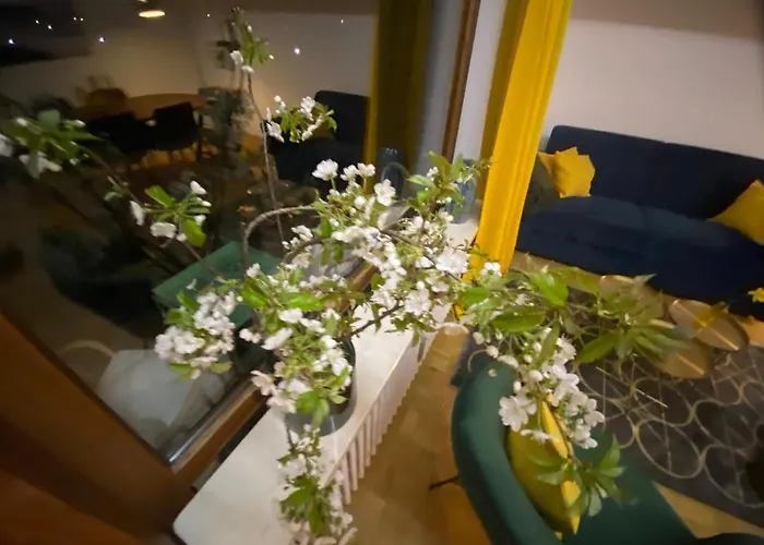 Apartment Panoramablick - Alpenmagie Oberaudorf